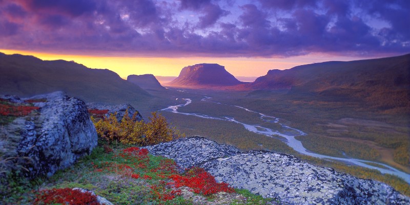 Rapadalen Foto:Peter Ros�n